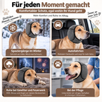 Lärmschutz-Ohrenschützer für Hunde