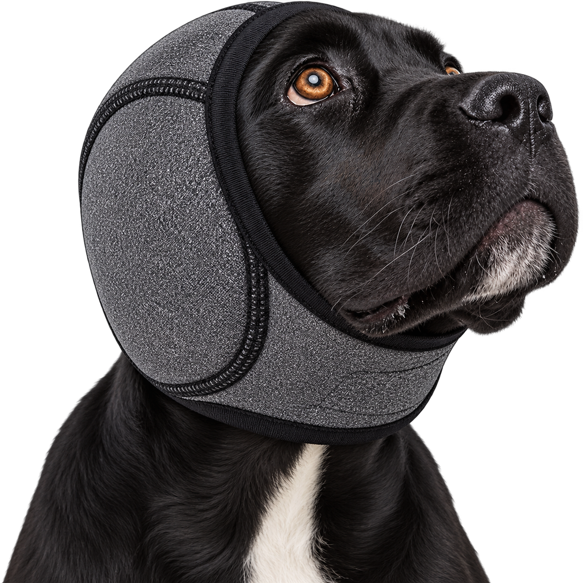 Lärmschutz-Ohrenschützer für Hunde
